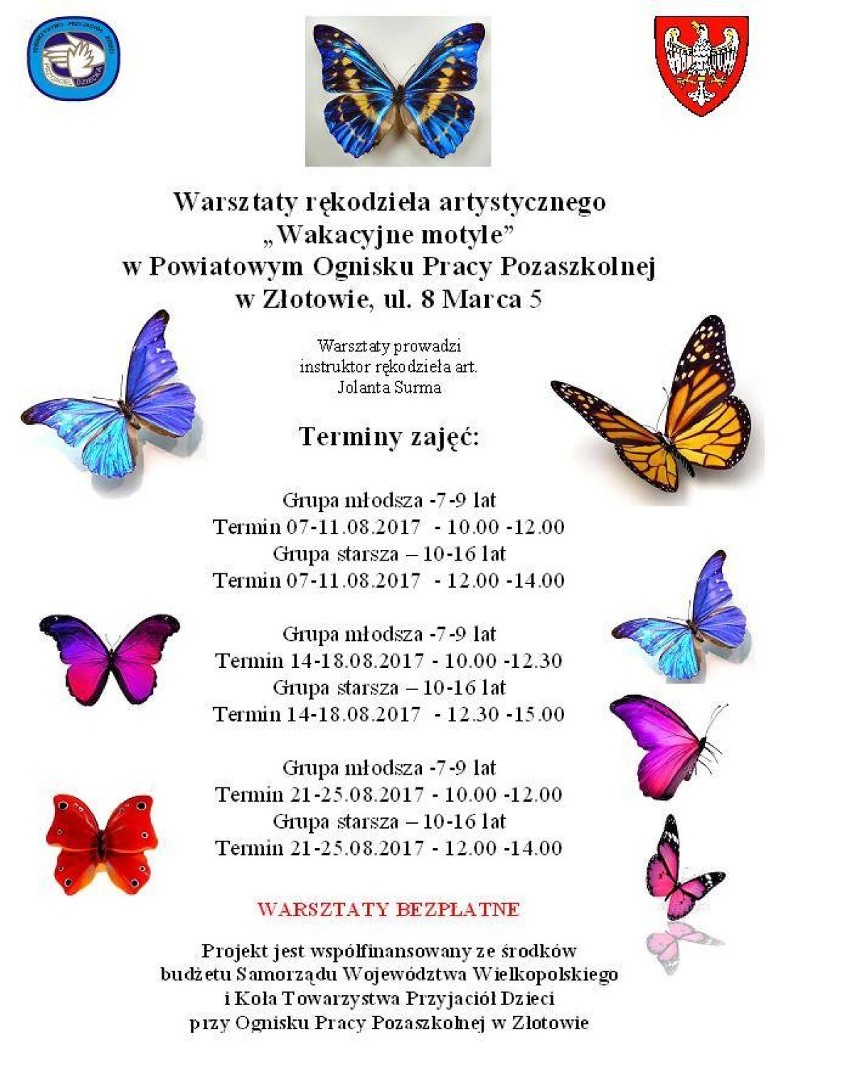 "Wakacyjne motyle" na letnich warsztatach w POPP w Złotowie