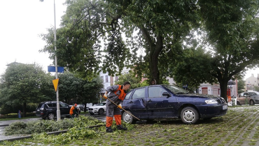 Obok rzeszowskiego Ratusza burza złamała drzewo. Mamy zdjęcia!