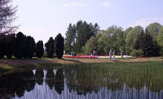 Ogród Botaniczny w Łodzi.