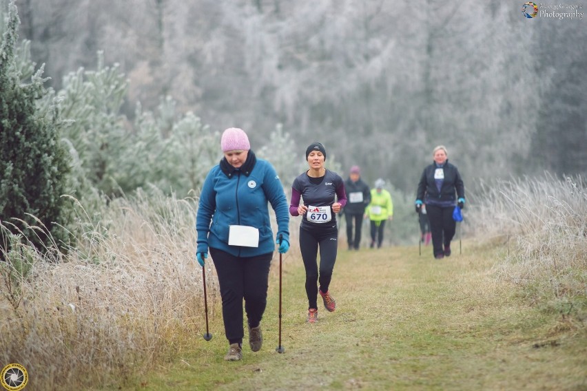 Jurassic Forest Run coraz bliżej