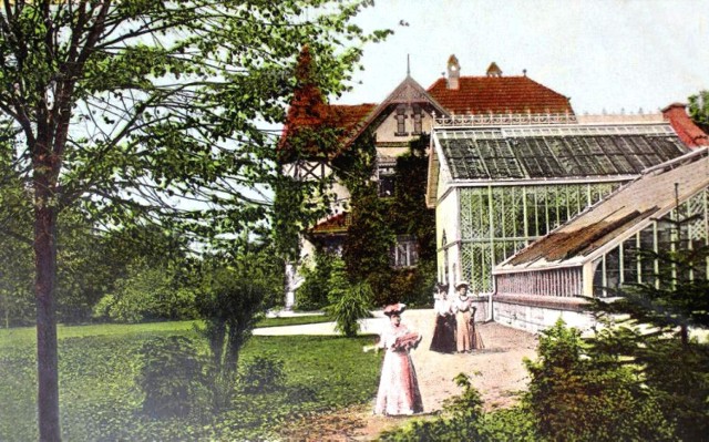 Lata 1905-1911, Palmiarnia i Dom Ogrodnika. Pierwsze szklarnie na terenie obecnego parku Chopina w Gliwicach skonstruowano już około 1880 roku. Na odwrocie stempel poczty z dnia 1 maja 1911 roku.