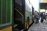 Poznań: Autobusem 57 do Term Maltańskich?