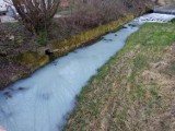 Zanieczyszczenie rzeki Mory w gminie Głuchołazy. Biała plama ciągnęła się na długości około 800 metrów. Sprawą zajęła się ochrona środowiska