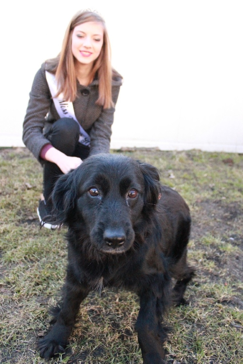 Miss Winnego Grodu 2013 w schronisku