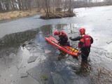 Śremscy strażacy ćwiczyli działania na lodzie. Zima to jedyny moment, kiedy takie ćwiczenia można przeprowadzić