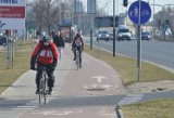 Strategia rozwoju dróg rowerowych w Łodzi. Konsultacje rowerzystów i ZDiT