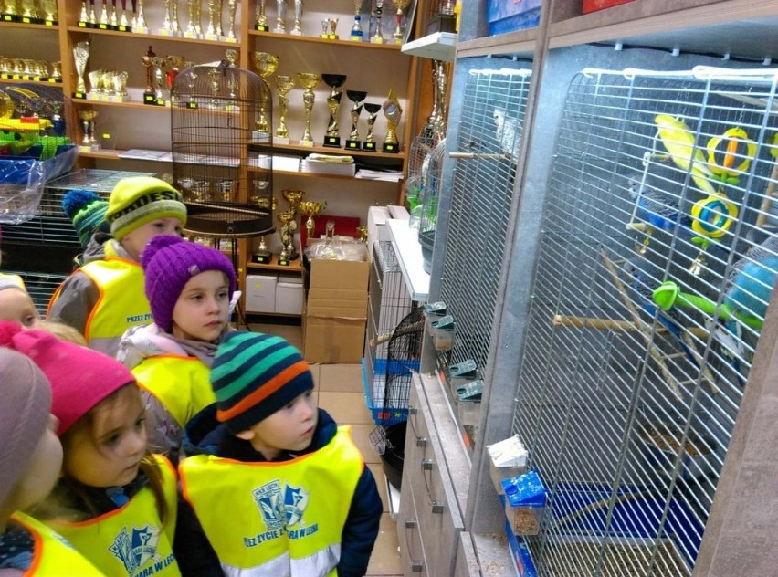 Wolsztyn: "Niedźwiadki" z Przedszkola nr 3 były w sklepie zoologicznym