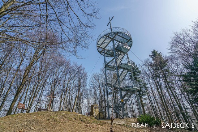 Szczyt Jaworze (882 metrów n.p.m.) znajduje się  w Beskidzie Niskim, w Górach Grybowskich