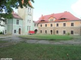 XIX-wieczny pałac z parkiem w Łagiewnikach na sprzedaż. Cena? 2 800 000 złotych