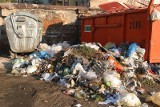 Wrocław nie umie segregować śmieci