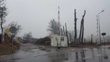 Wycinka drzew w Rybniku. Tym razem w Boguszowicach... [ZDJĘCIA]