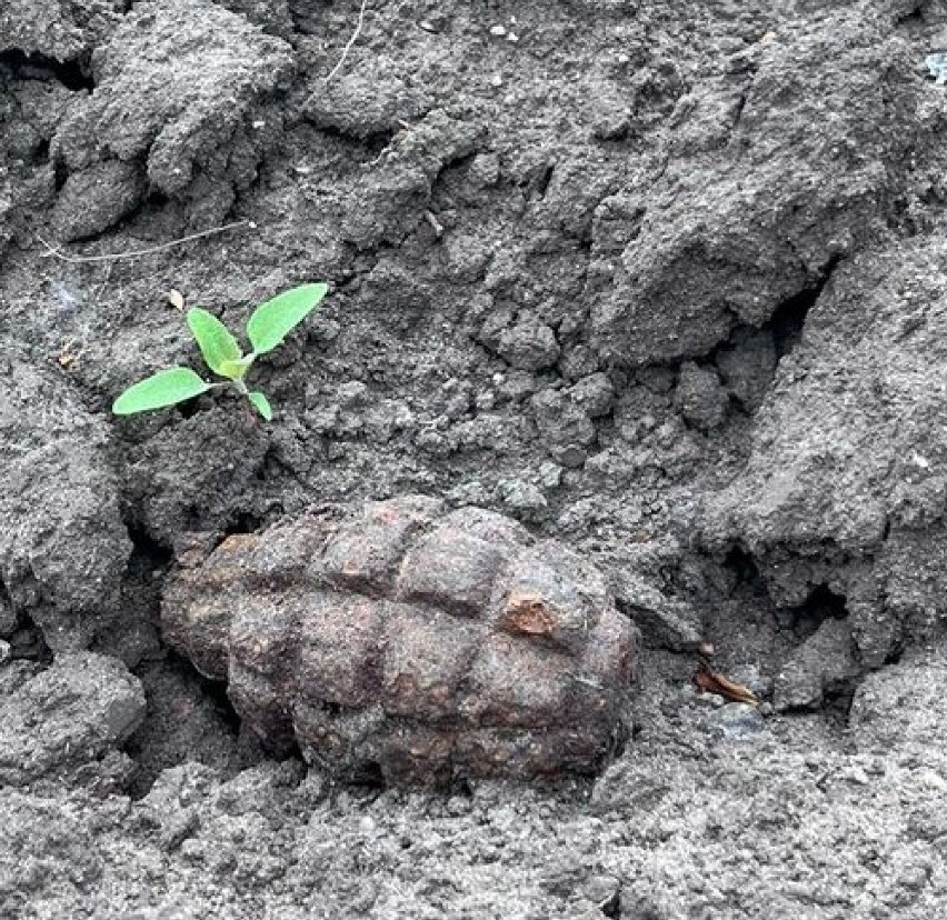 Podczas prac polowych w gminie Radziejów rolnik znalazł...