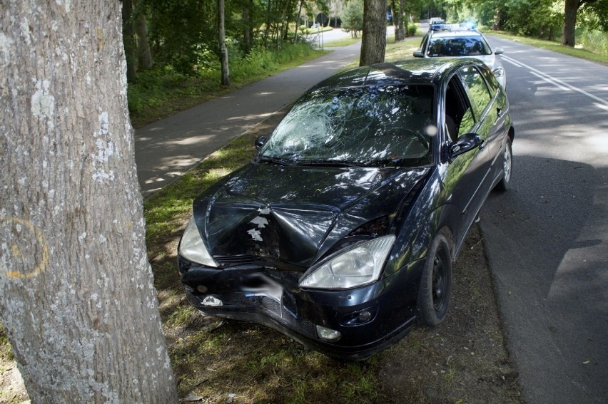 Prawie trzy promile i kolizja z drzewem. 40-latka straciła prawo jazdy