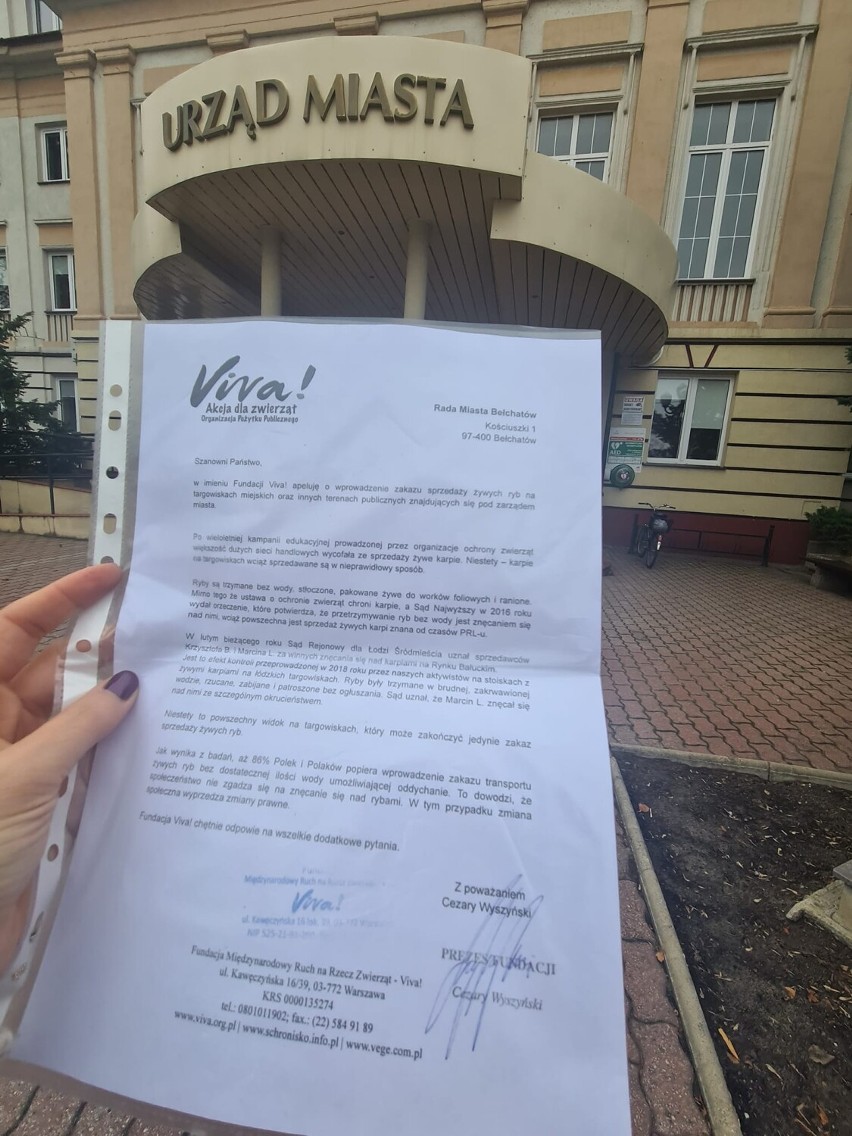 Organizacja Viva Bełchatów protestuje w sprawie sprzedaży żywych karpi. Napisali petycję do radnych miejskich Bełchatowa