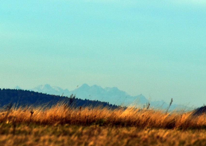 Słoneczny poranek z widokiem na Tatry [ZDJĘCIA]