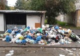 Wrocław trzy miesiące od rewolucji śmieciowej