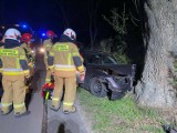 Samochód osobowy uderzył w drzewo na drodze Gołuchów - Kajew. Kierowca został przetransportowany do szpitala