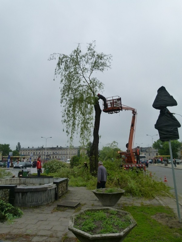 Rewolucja na pl. Kościuszki. Wycięte drzewa budzą zdziwienie