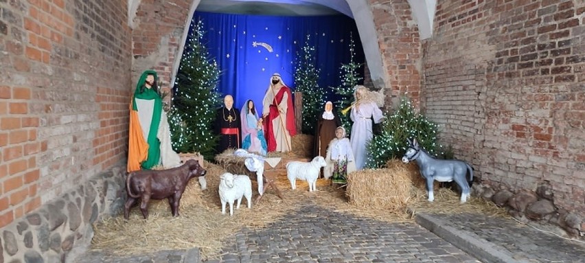 Bożonarodzeniowe szopki w Bramie Grudziądzkiej oraz kościele...