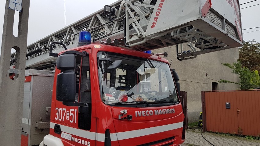 Pożar na Dachowej w Łodzi. Zginął 58-letni mężczyzna [ZDJĘCIA]