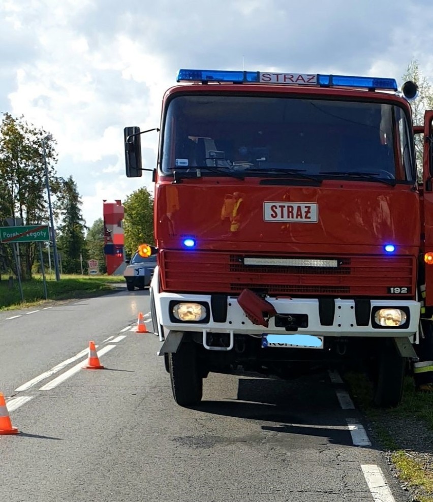 Alwernia. Silny wiatr może być także sprawcą dużego pożaru traw