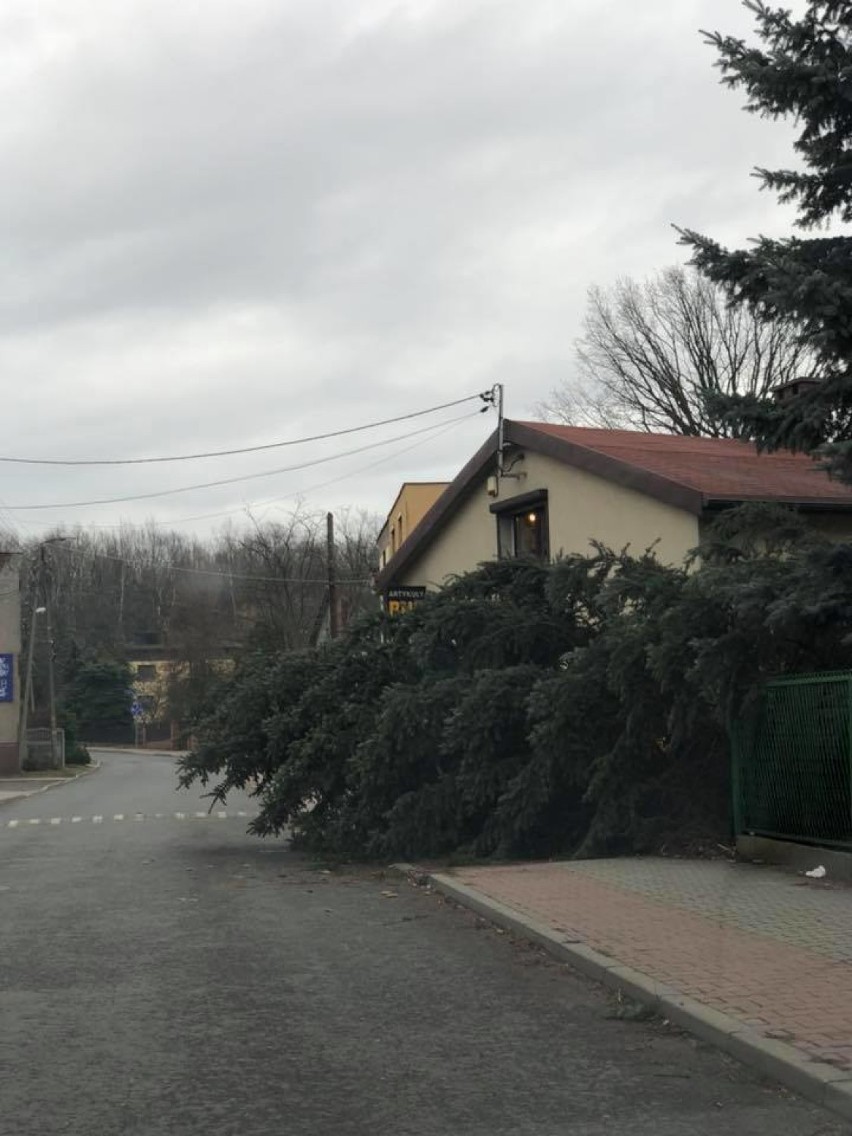 Krajobraz po wichurach w Rudzie Śląskiej: połamane drzewa, uszkodzone dachy, przewrócony komin. ZDJĘCIA