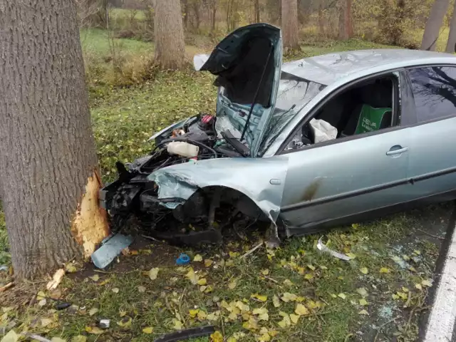 Do bardzo groźnie wyglądającego wypadku doszło na drodze krajowej nr 22, niedaleko Słońska w powiecie sulęcińskim. Zderzyły się dwa samochody osobowe. Droga w miejscu wypadku jest zablokowana, trzeba korzystać z objazdów.

Aktualizacja - godzina 10.50
W wypadku ranne zostały dwie osoby. To kierowcy volkswagena passata i volkswagena golfa. - Ze wstępnych ustaleń policji wynika, że kierująca golfem jechał w stronę Kostrzyna. W pewnym momencie zjechał na pobocze, uderzył w drzewo, od którego się odbił, po czym uderzył czołowo w jadącego w stronę Słońska passata - relacjonuje sierż. Klaudia Richter z Komendy Powiatowej Policji w Sulęcinie.

Po zderzeniu obaj kierowcy byli przytomni. Jechali sami. Kierowca golfa został zabrany śmigłowcem Lotniczego Pogotowia Ratunkowego do szpitala w Gorzowie, natomiast kierowca passata został przetransportowany karetką do szpitala w Kostrzynie nad Odrą.

Pierwsze informacje
Informację o tym wypadku otrzymaliśmy od naszych Czytelników. Doszło do niego we wtorek, 12 listopada, około godziny 10 rano. Z pierwszych, niepotwierdzonych jeszcze przez policję informacji wynika, że jeden z kierowców z nieznanych powodów zjechał z drogi i uderzył w drzewo. Samochód odbił się od drzewa, wrócił na drogę, gdzie zderzył się z innym pojazdem.

W wypadku ranne zostały dwie osoby.

Wypadek miał miejsce między Kostrzynem, a Słońskiem, około kilometr od Słońska. Droga jest zablokowana, można jednak skorzystać z objazdów przez Chartów, Gronów, Stańsk i Czarnów. 



Zobacz też wideo: Litwin na hulajnodze jechał autostradą pod prąd. Stwarzał ogromne zagrożenie. Sprawą zajęli się policjanci z Sulęcina
