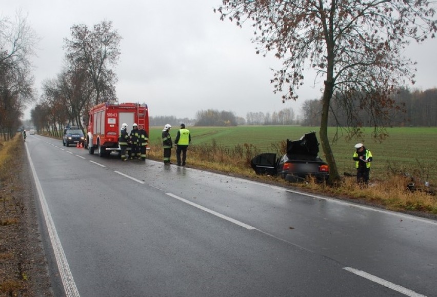 Lublinieccy policjanci proszą o kontakt świadków wypadku, do którego doszło na trasie Psary-Boronów