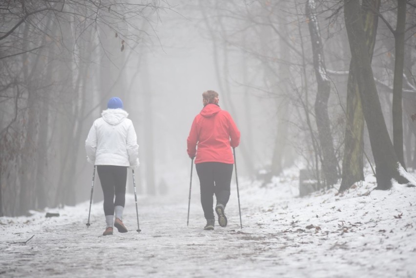 Jak prognozuje portal ekologia.pl, 17 lutego temperatura w...