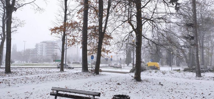 Takie zdjęcia dostaliśmy od naszych Czytelników. Dziękujemy!