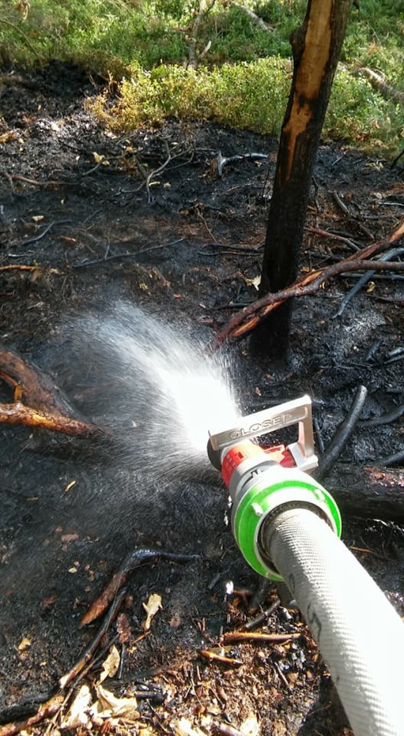 Pożar lasu w Górkach Śląskich. Ogień gasiło 100 strażaków z dwóch powiatów oraz samoloty z Rybnika
