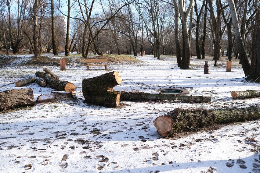 Park Dolinka Służewska. Najpierw niechciany plac zabaw, teraz wycinka drzew. Dlaczego? 