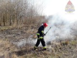 Pożar trawy przy torach w miejscowości Mokra 