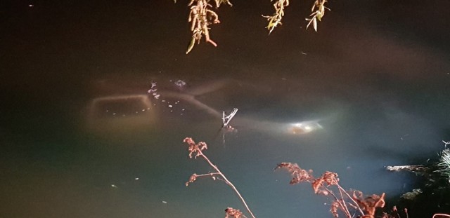 Tragedia nad wodą: 63-letni jastrzębianin zasnął, a jego auto wjechało do wody