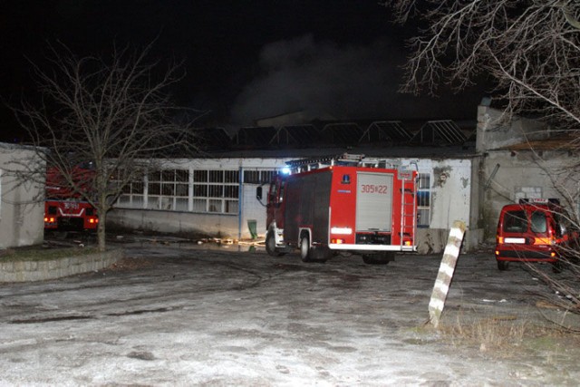 Według nieoficjalnych informacji w pożarze nikt nie został poszkodowany. Fot. Tomasz Kolowski