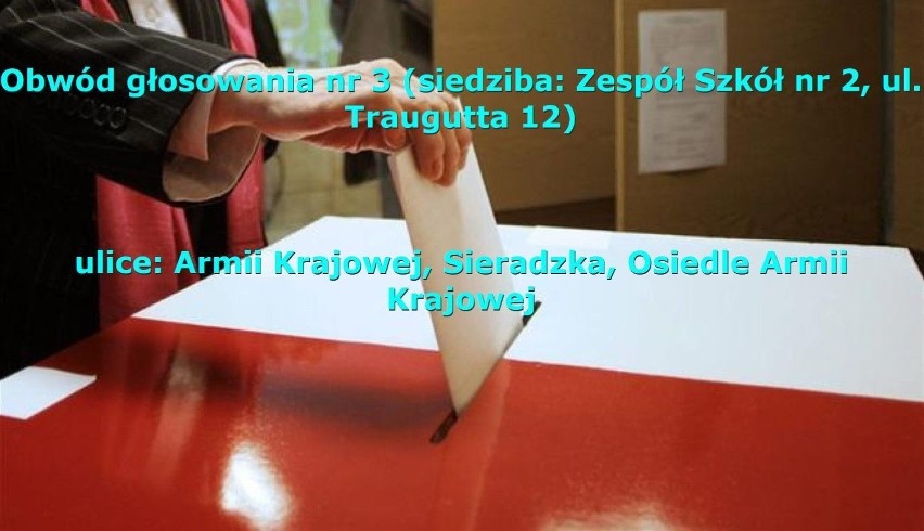 Wybory do Sejmu i Senatu 2019. Gdzie głosować w gminie Wieluń [OBWODY WYBORCZE]