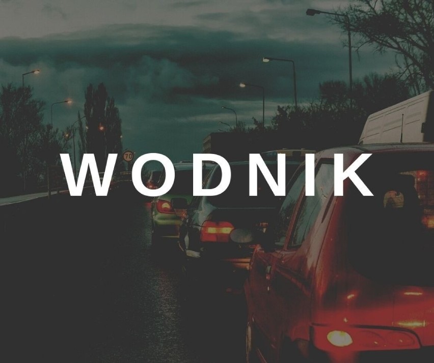 WODNIK...