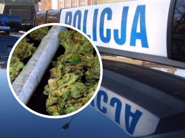 Policjanci z bydgoskiego oddziału prewencji zatrzymali trzy osoby podejrzane o posiadanie marihuany. Jeden z 19-latków dodatkowo usłyszał zarzut usiłowania udzielenia narkotyków.