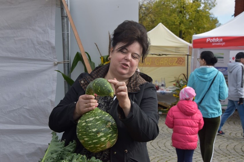 XV Kartuski Targ Produktów Ekologicznych - czego tam nie było!  ZDJĘCIA