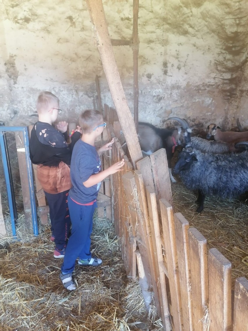 Dzieci z ośrodka w Gromadzicach na hipoterapii w zagrodzie u ks. Marka Jelonka 