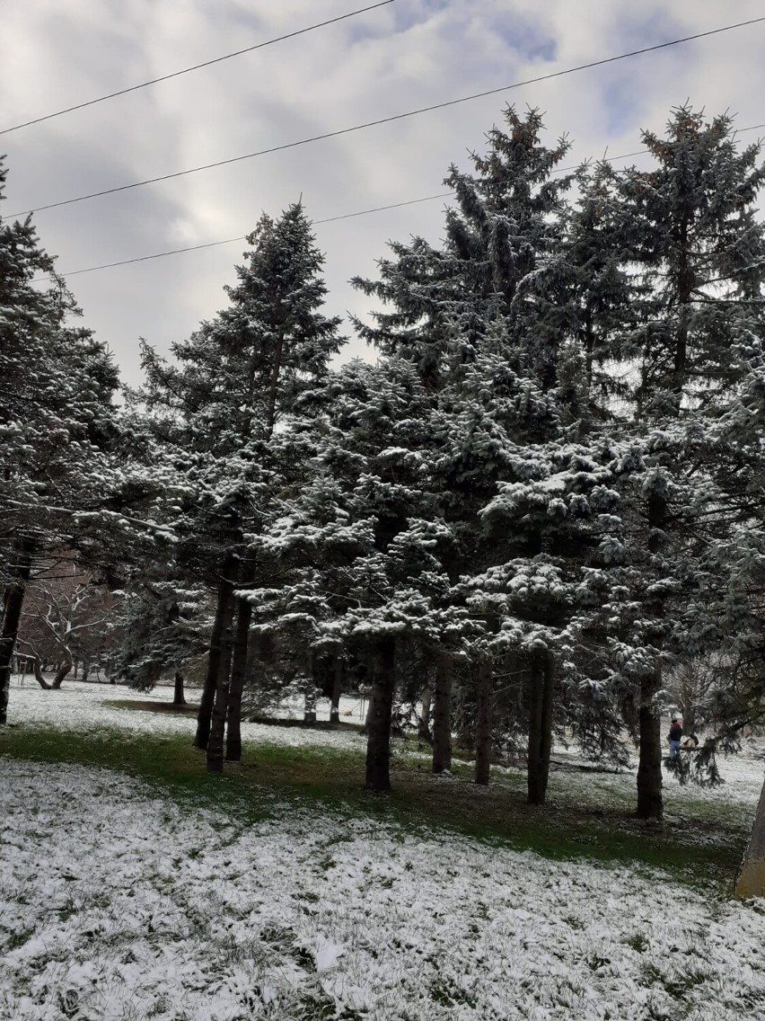 Park na osiedlu Kmity przy ul. Wyspiańskiego w Rzeszowie oprószony śniegiem. Zobacz zdjęcia