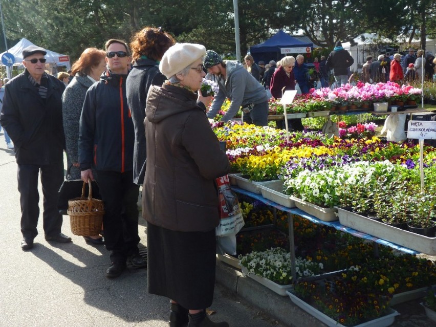 Tradycyjnie w pierwszy weekend kwietnia w Koszalinie odbyły...