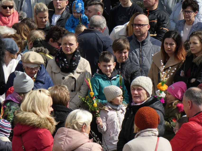 Procesja i konkurs na najpiękniejszą palmę - obchody Niedzieli Palmowej [ZDJĘCIA]