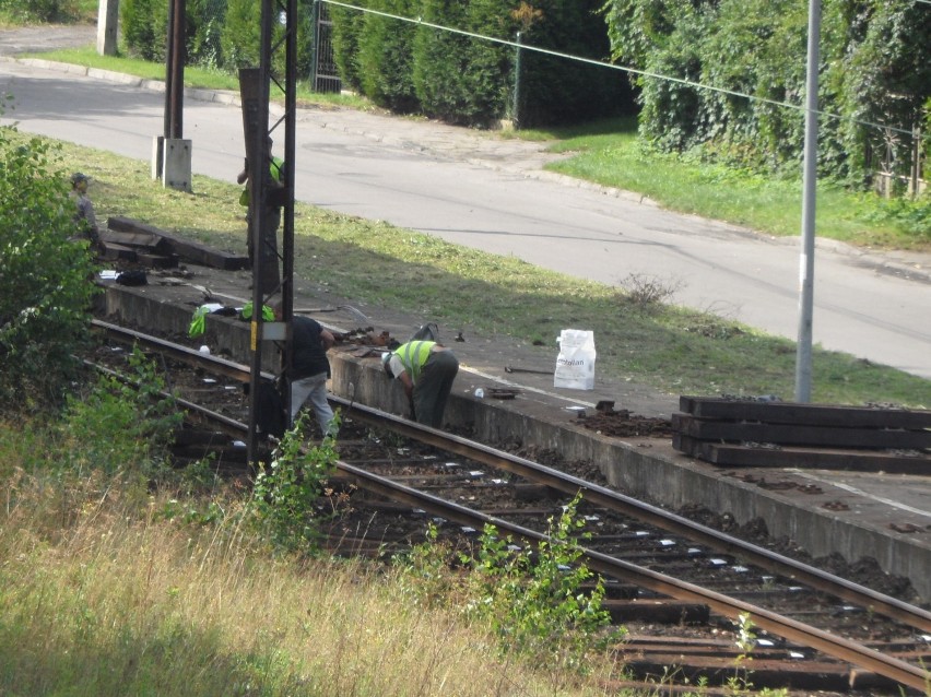 Remont torów kolejowych w Kazimierzu Górniczym idzie pełną parą [ZDJĘCIA]