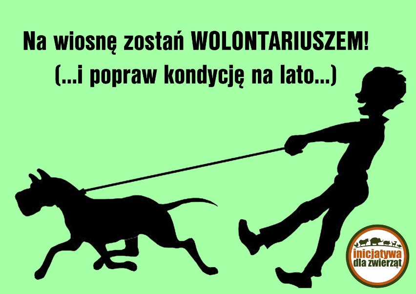 Na Dzień Wiosny psiak radosny! 