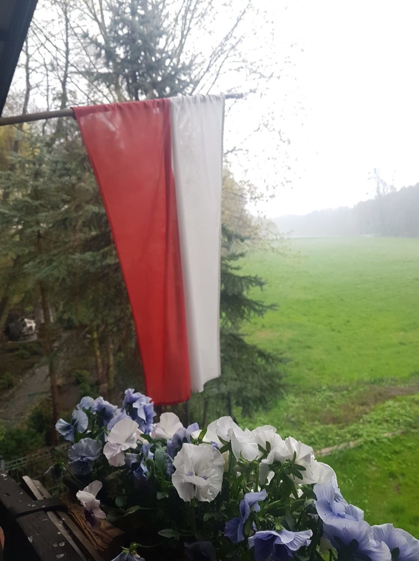 Dzień Flagi w Pleszewie. Biało-czerwona zawisła w wielu miejscach miasta ZDJĘCIA