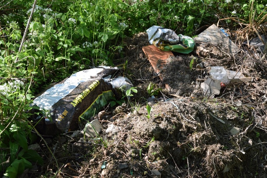 Sterty śmieci przy Wisłoce na osiedlu Kaczorowy w Jaśle. Donice, słoiki, pędzle, butelki [ZDJĘCIA]
