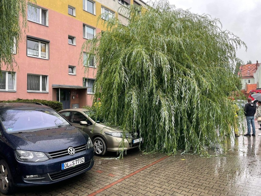 Drzewo przewróciło się na samochód w Pleszewie! Na szczęście...