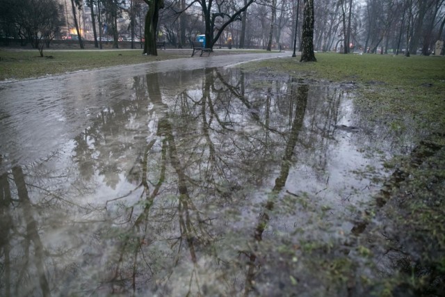 Czy tak powinien wyglądać park po kosztownej rewitalizacji?