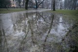 Koszmar w Parku Krakowskim. Miliony wyrzucone w błoto?